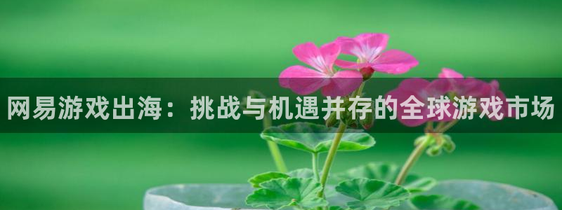 优贝娱乐4主管：网易游戏出海：挑战与机遇并存的全球游戏市场