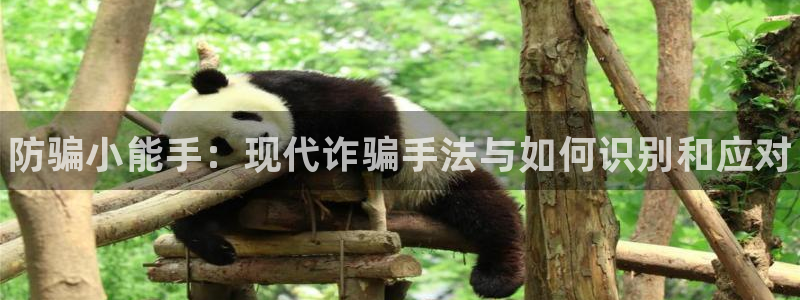 优贝娱乐娱乐是真的吗：防骗小能手：现代诈骗手法与如何识别和应
