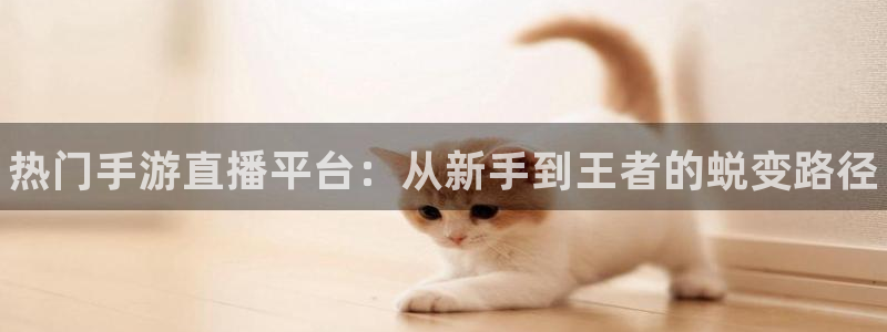 优贝娱乐直属：热门手游直播平台：从新手到王者的蜕变路径