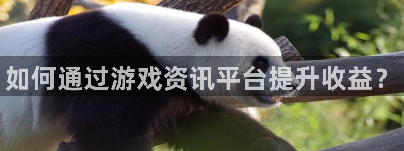 优贝娱乐官网登录：如何通过游戏资讯平台提升收益？