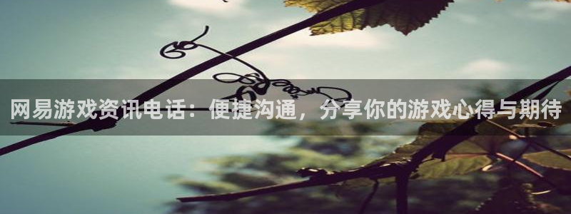 优贝娱乐线路测试：网易游戏资讯电话：便捷沟通，分享你的游戏心