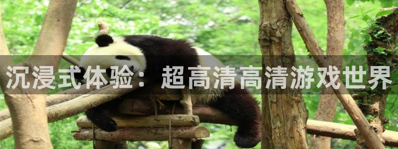 优贝娱乐什么意思：沉浸式体验：超高清高清游戏世界