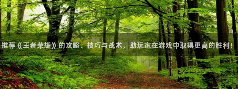 优贝娱乐手机网页版登录：推荐《王者荣耀》的攻略、技巧与战术，