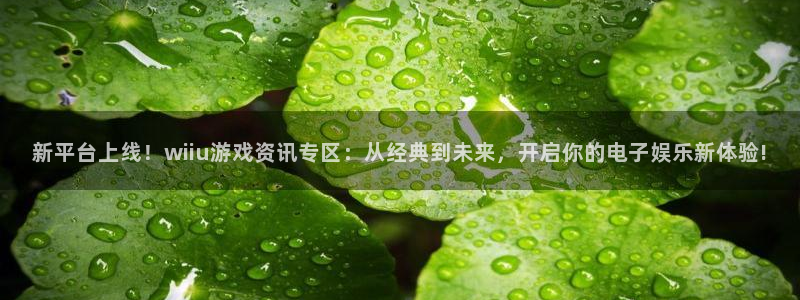 优贝娱乐网页登录入口官网：新平台上线！wiiu游戏资讯专区：