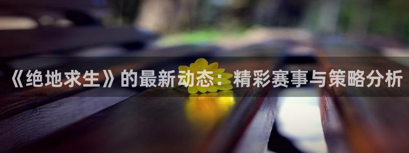 优贝娱乐游戏：《绝地求生》的最新动态：精彩赛事与策略分析