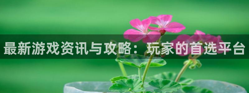 优贝娱乐代理登陆：最新游戏资讯与攻略：玩家的首选平台