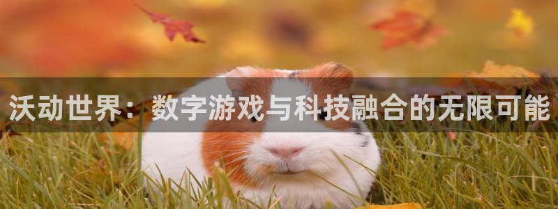 优贝娱乐网页登录入口下载：沃动世界：数字游戏与科技融合的无限