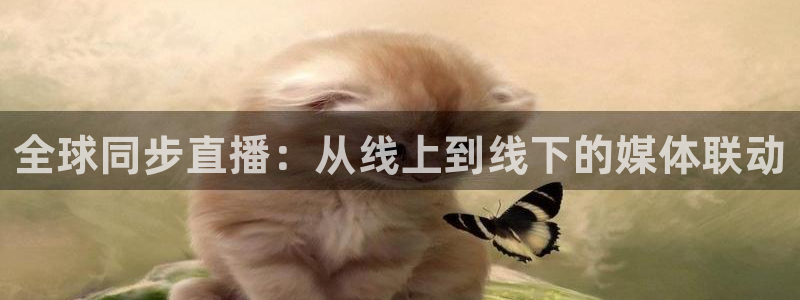 新闻图片