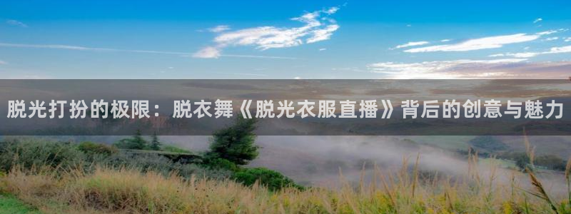 斗球app最新版本：脱光打扮的极限：脱衣舞《脱光衣服直播》背后的创意与魅力