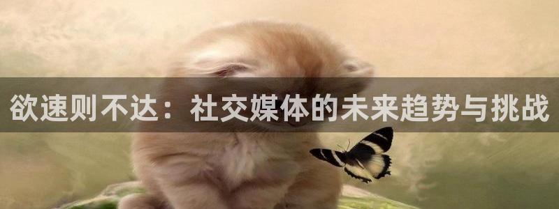 美女热舞斗球球视频：欲速则不达：社交媒体的未来趋势与挑战