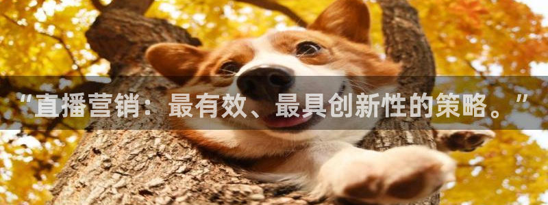 斗球体育直播免费的平台：“直播营销：最有效、最具创新性的策略。”